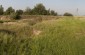 Execution site n°1 in the sand quarry near the communal office in Janówka. About 50 Jews were shot here over the course of several executions between 1941 and 1943 and buried on the spot. ©Olga Szymerowska/Yahad - In Unum