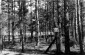 Una cerca con un rótulo en el bosque de Paneriai. © Yad Vashem Photo Archives