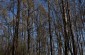 Memorial in the memory of 224-500 Jews killed in the forest near Słonowice.  © Cristian Monterroso – Yahad-In Unum