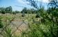 The former location of the Klimonty labor camp. Prisoners worked on land reclamation. The camp had four barracks for prisoners, behind which was a mass grave on the other side of the road. ©Kate Kornberg/Yahad - In Unum