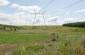 The execution site without any marker or memorial, located in the middle a meadow. ©Les Kasyanov/Yahad – In Unum