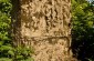 The remaining tombstones in the Jewish cemetery. © Rita Villanueve/Yahad-In Unum