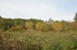 Killing and burial site n°2 in the former sand quarry in Końskowola. Several dozen Jews were killed here by the Germans in 1942. Some of the victims were buried on the spot, while others in the Jewish cemetery. ©Cristian Monterroso/Yahad - In Unum