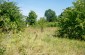 The killing site of around 1,000 Jews at the former Jewish cemetery in Kałuszyn. Killings began as early as September 1939, with most victims shot and buried in multiple mass graves during and after the ghetto liquidation. ©Kate Kornberg/Yahad - In Unum