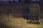 The killing site on the Hrubieszow road near Buśno, where about 150 locally killed Jews were buried in a mass grave. ©Olga Szymerowska/Yahad - In Unum