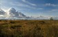 Rural landscape of Kapustino © Nicolas Tkatchouk – Yahad-In Unum