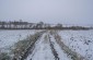 The mass grave site of the Jews, located in an agricultural field not far from the pond, on the outskirts of the village of Stanislavivka. It has not been possible to pinpoint the exact location of the pit, but it is known to be situated between the pond.