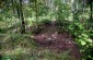 The burial site in the forest where around 200 Jews who perished in Klimonty labor camp were buried. There is no monument to commemorate the victims. ©Kate Kornberg/Yahad - In Unum