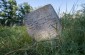 The remaining tombstones at the Jewish cemetery in Luchynets. © Aleksey Kasyanov/Yahad-In Unum