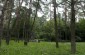 The execution site n°3 in the “Borek” forest, where, according to Yahad witnesses, the Jews were shot in mass executions at the end of 1942. ©Olga Szymerowska/ Yahad - In Unum