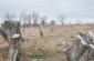 The remaining tombstones at the Jewish cemetery in Tovste. ©Les Kasyanov/Yahad - In Unum