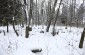 The Jewish cemetery in Kupil. ©Nicolas Tkatchouk/Yahad – In Unum