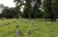 Jewish cemetery of Biržai. ©Markel Redondo/Yahad - In Unum