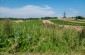 The killing and burial site where 12 or 13 Jews from Gorzków were  killed by a gendarme in August 1942. The victims were buried in place by locals and remain at the site. ©Piotr Malec/Yahad - In Unum