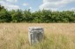 The 18th century Jewish cemetery on Debliska Street in Bobrowniki, served as burial place for local Jews, but also those from Dęblin and surrounding villages. ©Les Kasyanov/Yahad - In Unum
