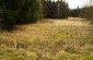 The killing and burial site of 9 Jews executed by the Germans in Iwanki in autumn 1941. Today it is a private property, and the mass grave site is not commemorated. ©Jethro Massey /Yahad - In Unum