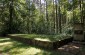 Execution site N°2, located in the Žadeikiai forest, about 300 meters from execution site N°1. The Jews of the Pasvalys area, as well as those who survived the first mass shooting, were executed here some time later. ©Markel Redondo/Yahad - In Unum