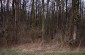 The site of the pit where the bodies of several dozen Jews who died during their imprisonment in the Surhów-Augustówka forced labor camp were buried between 1941 and 1942. ©Jethro Massey /Yahad - In Unum