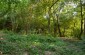 The burial site in the former Jewish cemetery in Wąwolnica, where between 76 & 120 Jewish men were killed by gendarmes in February/March 1942. ©Les Kasyanov/Yahad - In Unum