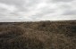 The killing site in the anti-tank ditch where approximately 30 Jews were shot and their bodies burned. There is no memorial. ©Markel Redondo/Yahad-In Unum