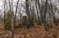 A Jewish cemetery in Varkovychi. © Aleksey Kasyanov/Yahad – In Unum