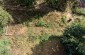 A drone view at the execution site located in the village of Ulaniv. ©Les Kasyanov/Yahad - In Unum