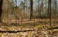 The killing and burial site in Niewirków where the Germans killed from 30 to 50 Jews in autumn 1942. ©Jethro Massey/Yahad - In Unum