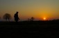 Mieczyslaw C., born in 1926, in his field in Surhów, from where he saw the Jews going to the river every day to work on improving the river. He spoke of people exhausted by the labor and mistreated by the guards. ©Jethro Massey /Yahad - In Unum