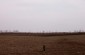 The field where Jews were executed in Dondukovskaya. ©Markel Redondo/Yahad – In Unum