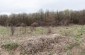 A panorama view at the mass grave site where circa. 800 Jews who died in the camp from hunger or mistreatment were buried. Today, there is no memorial at the site. ©Les Kasyanov/Yahad - In Unum
